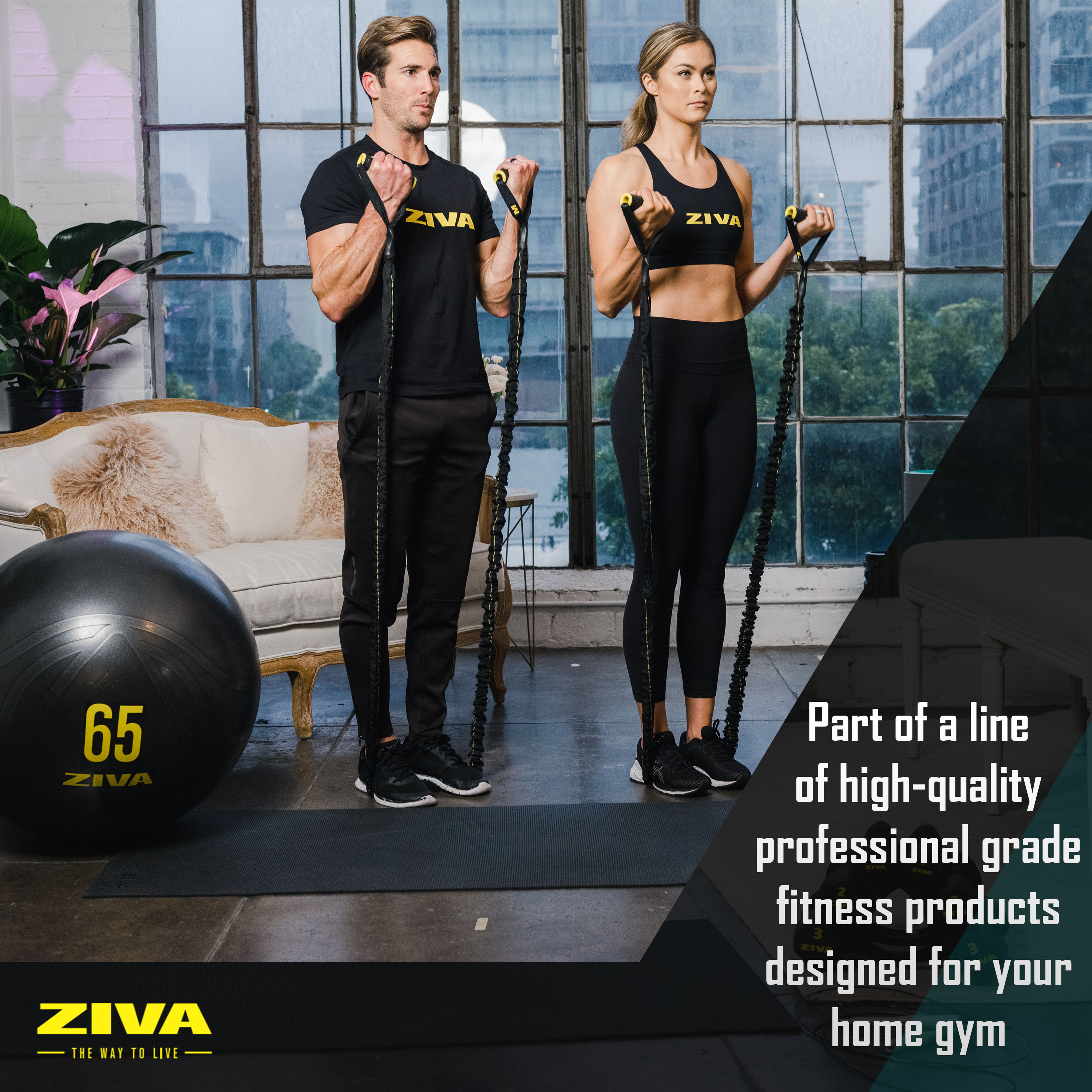 Part of a line of high-quality professional grade fitness products designed for your home gym.
